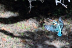 令和3年の締め括り　②