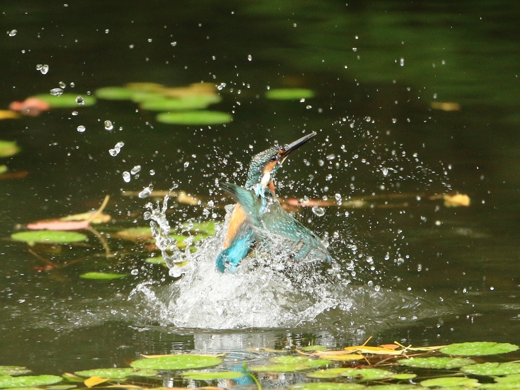 台風関係なし！　④
