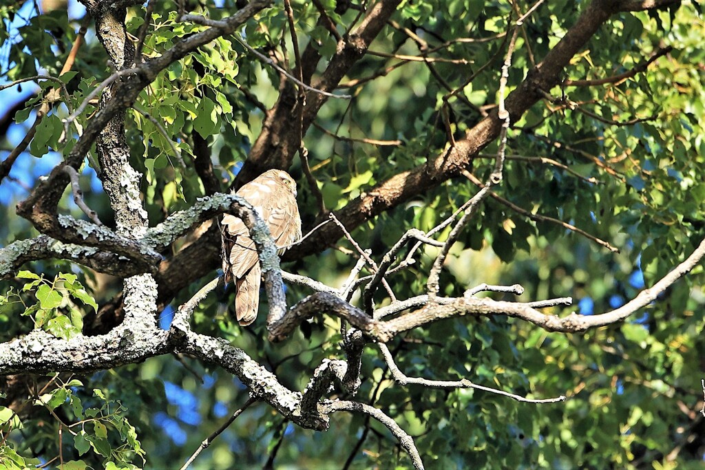 令和3年の締め括り　①