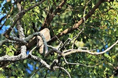 令和3年の締め括り　①