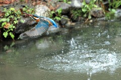 雨の活動　②