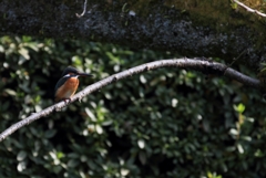 名所中の名所へ...