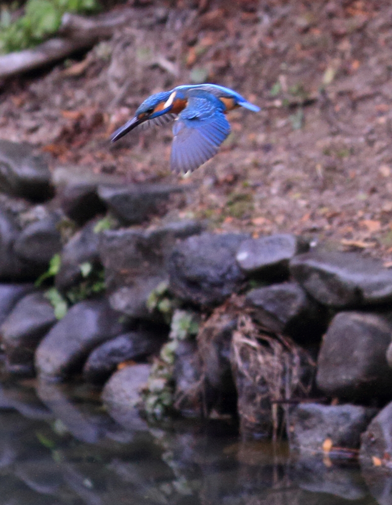 ホバ後の行きま～すっ