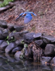 ホバ後の行きま～すっ