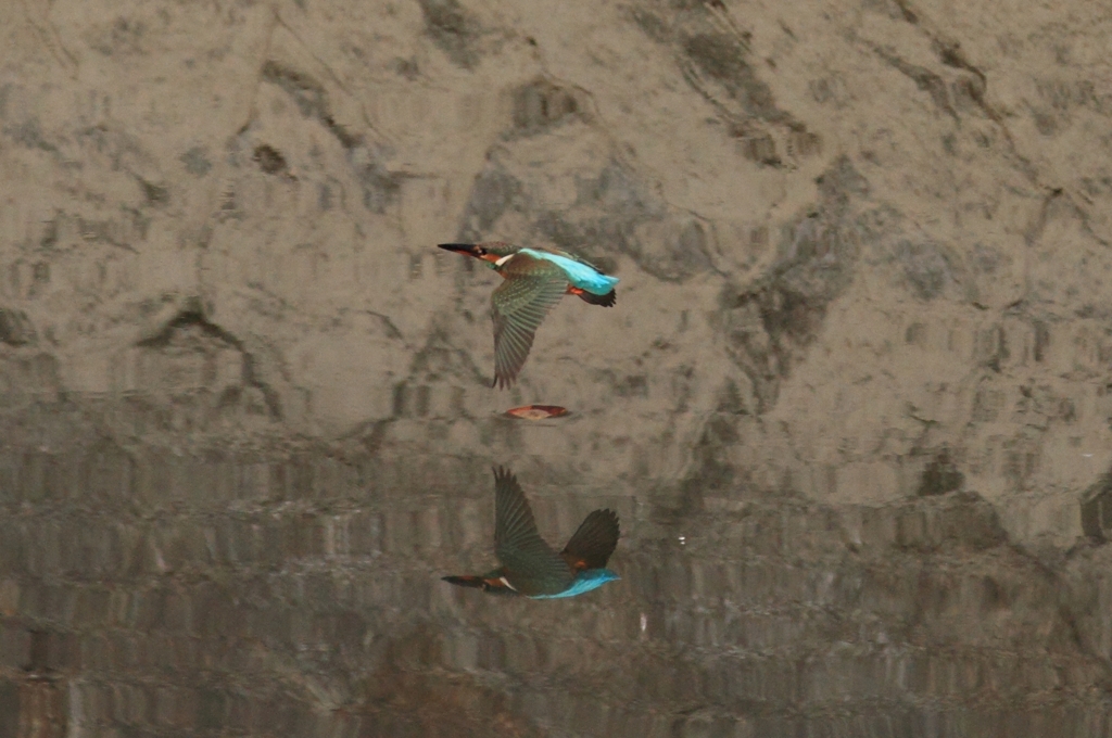 飛ぶんだも～ん3