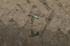 飛ぶんだも～ん3