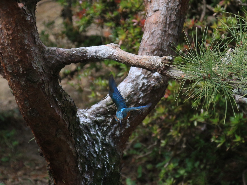 陽当たり良好　③