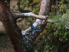 陽当たり良好 ③