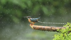 台風12号　影響あり！④