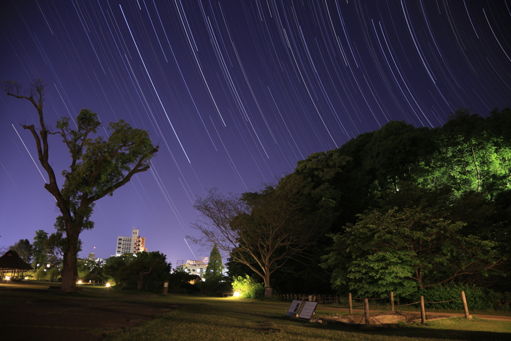 愛媛県・道後公園の夜景