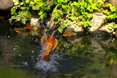 水飛沫