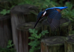 さぁっ、標的は決定...