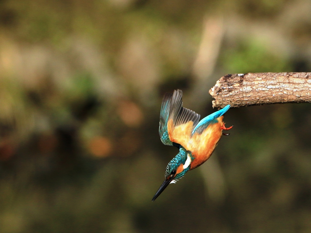 2018年一発目　③