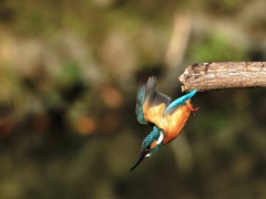 2018年一発目 ③