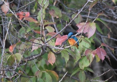 餌が...　サム～っ...