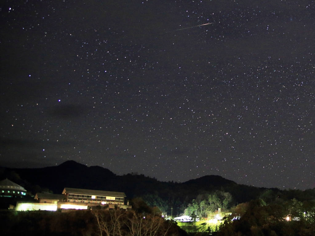 ふたご座流星群　④