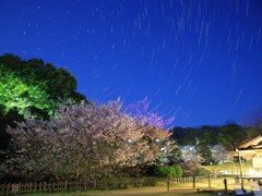 道後公園
