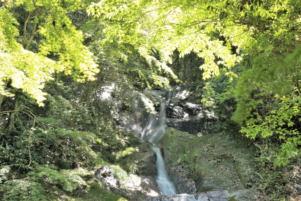 滝本の滝　2