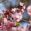 目につく