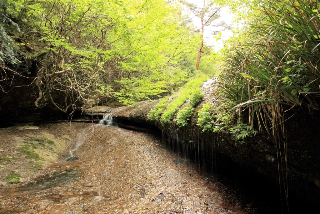 滑川渓谷　中流域