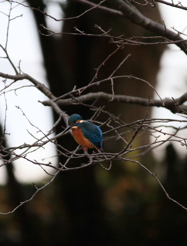 外堀から内堀方面