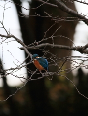 外堀から内堀方面