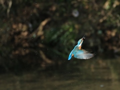 ちっちゃいけどGET