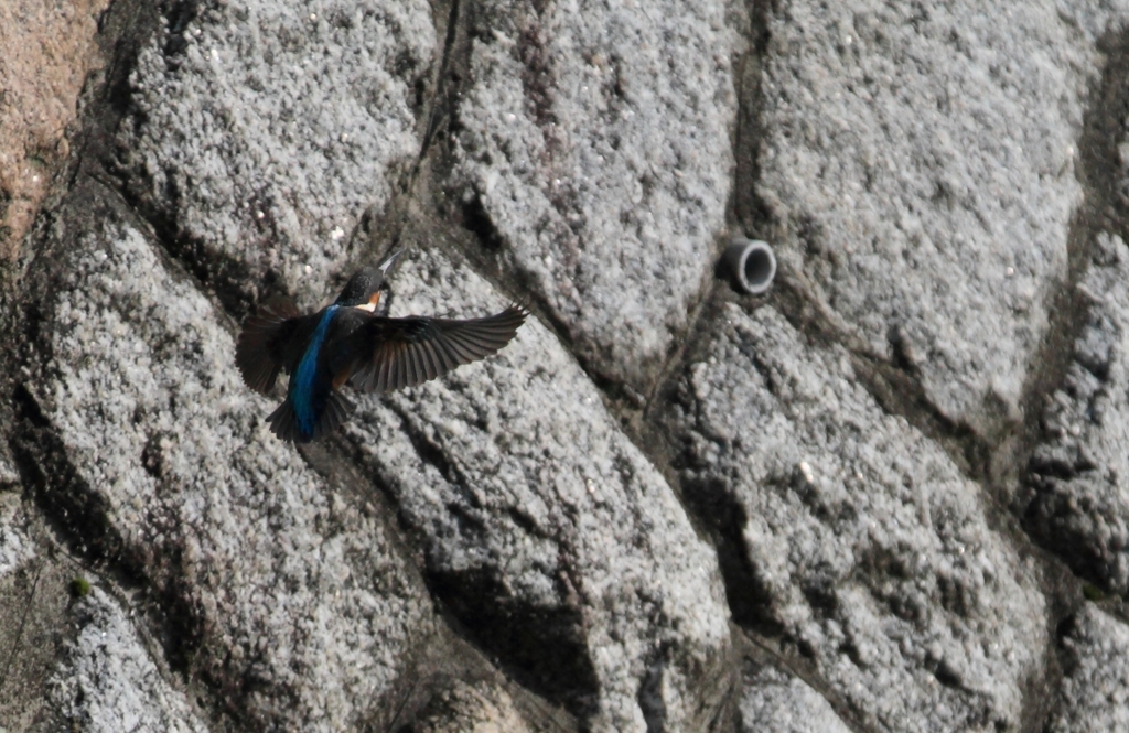 何処へ止まりましょう？