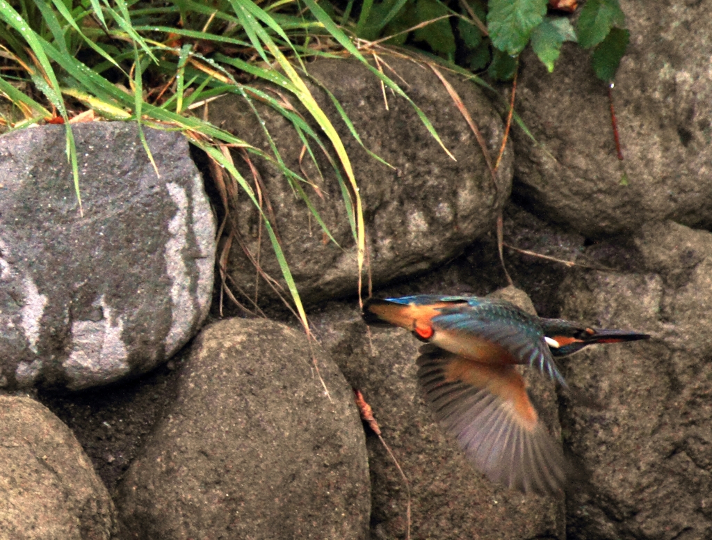 回って...まわる～...
