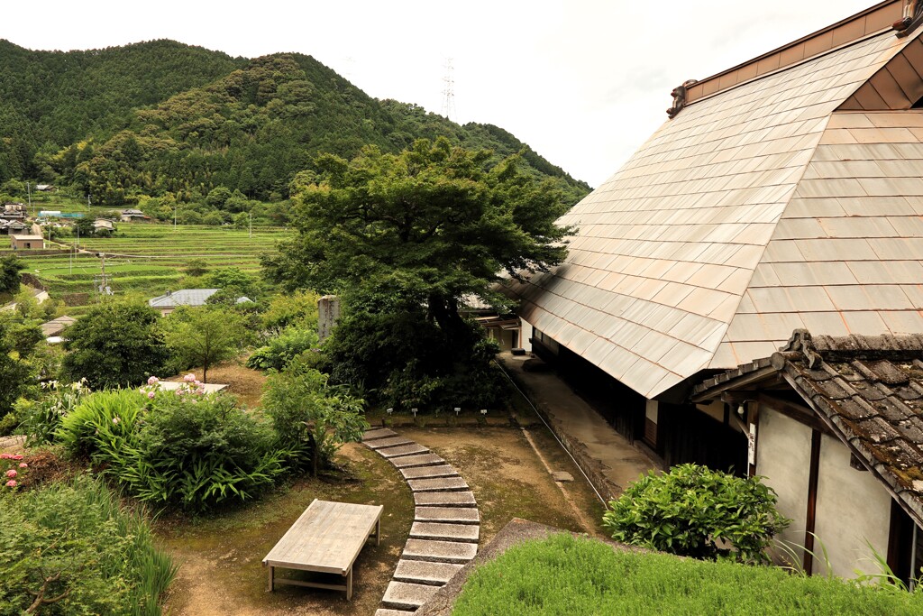 法蔵寺棚田