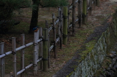 小飛行後、竹柵前に一時停止