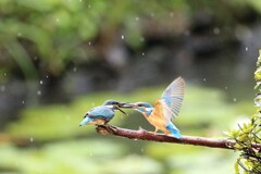 お食事タイム