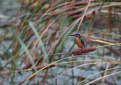 ちょっと背伸び