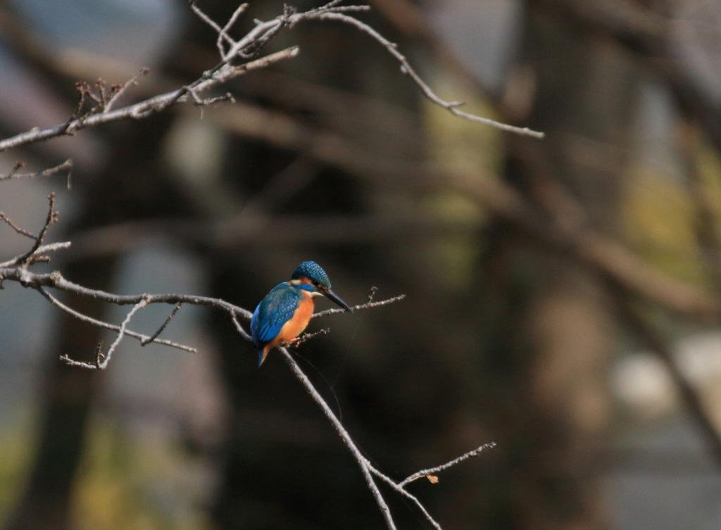 外堀　3連射　1枚目