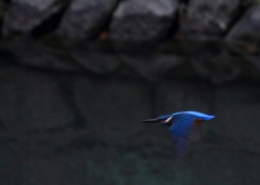 さよなら...最後の一枚