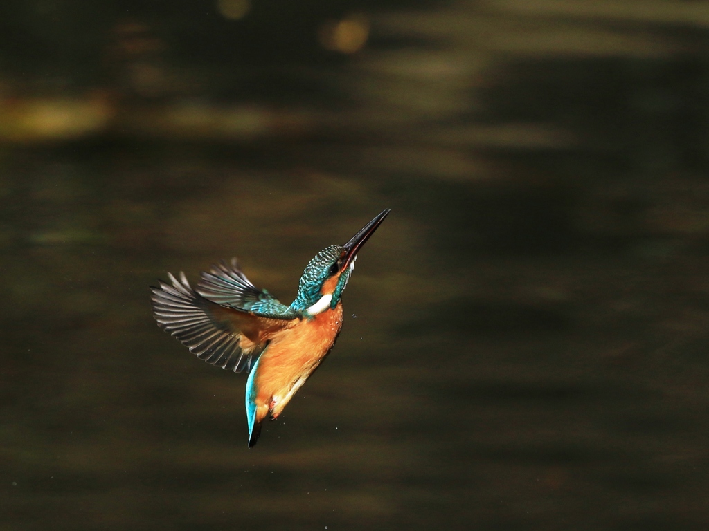 2018年一発目　④