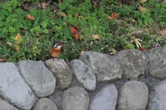 ここは、私の場所よ！