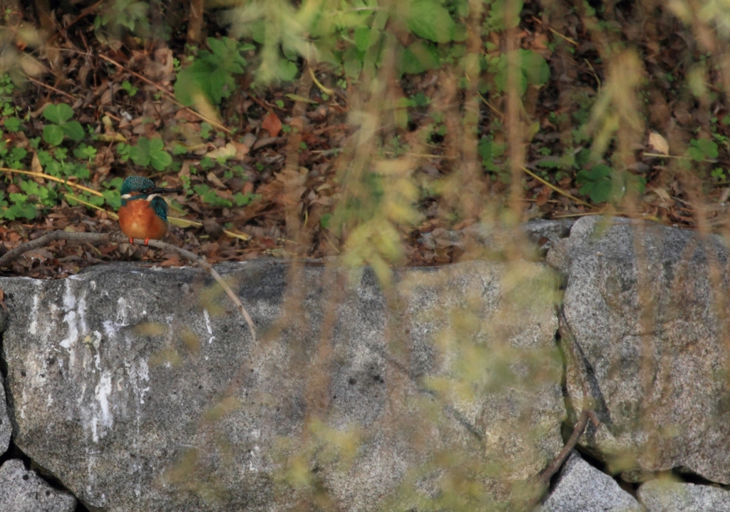 陽のあたる場所へ…