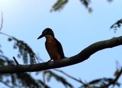 約6時間待って来てくれた主人公