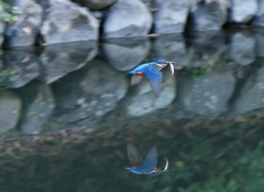 落ち着く場所へ・・・