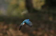 外堀　3連射　3枚目