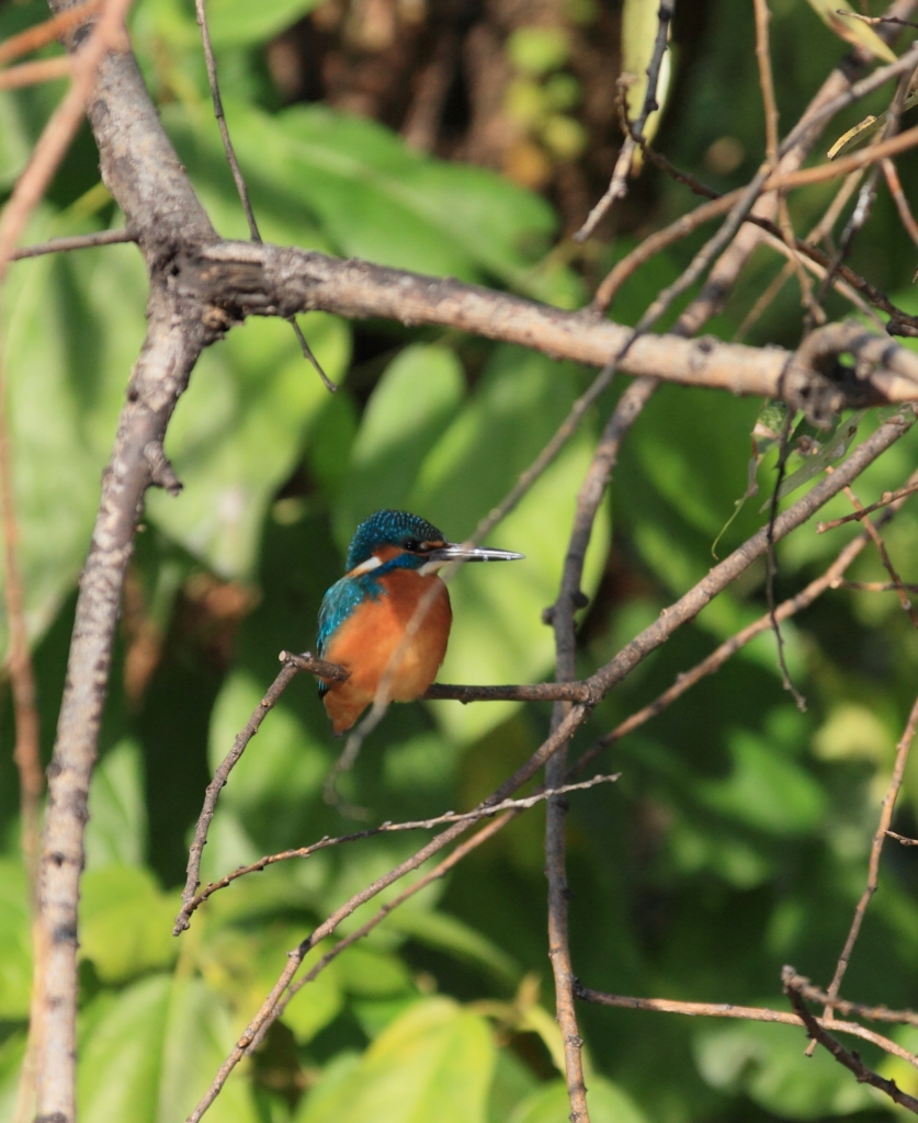完全休憩タイム