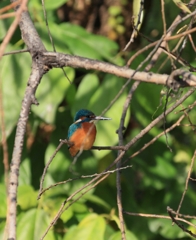 完全休憩タイム