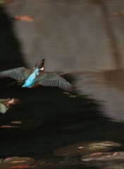 何かを咥えたようです