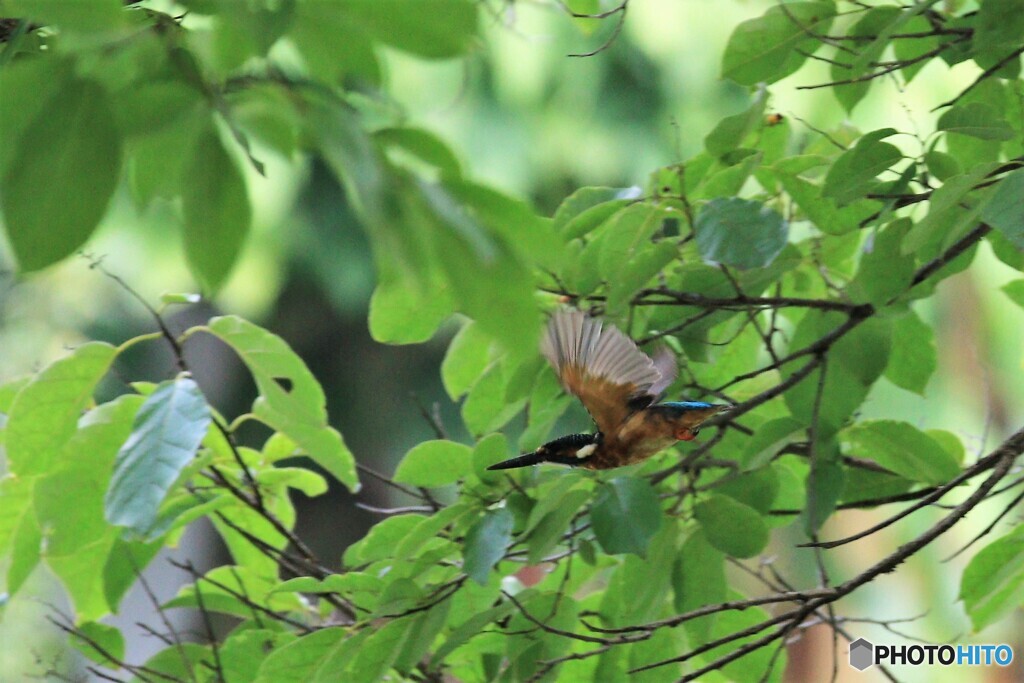避暑地から　更なる　場所へ