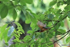 避暑地から　更なる　場所へ