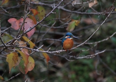 お気に入りのスポット