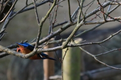 休憩後のスタートダッシュ・・・