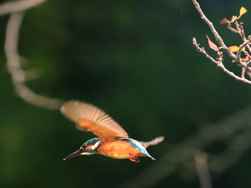 台風関係なし！　①