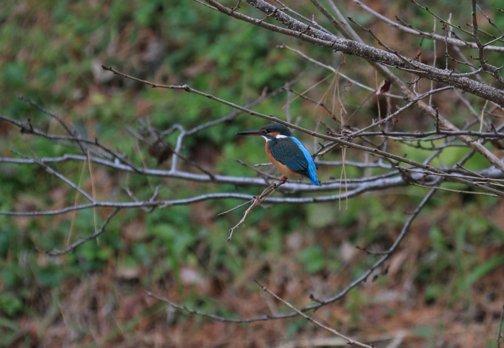 ちょっと一休み
